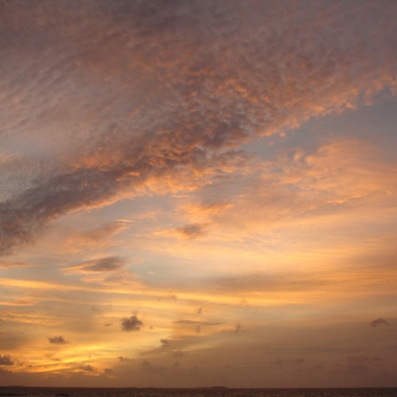 Meet your Posher, Fip - Picture 1 of 1